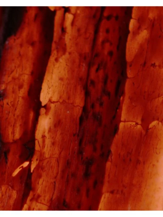 Givenchy L'Interdit Eau Hair Mist - Image 5